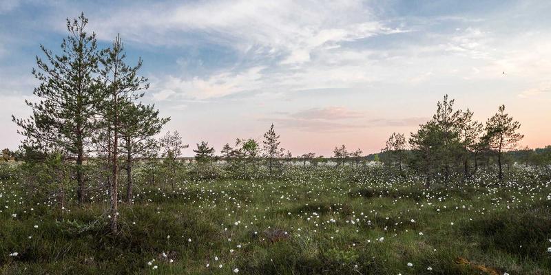 开封儿童房装修新思维:豫中装饰揭秘如何打造学习、娱乐与成长三合一的空间方案