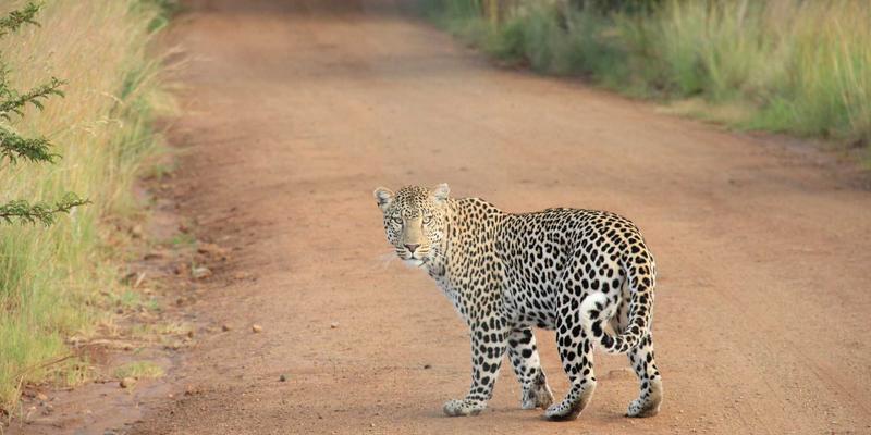 开封学区房装修全攻略:打造兼顾学习、成长与家庭生活的理想空间