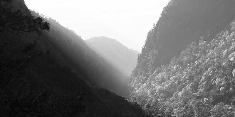 开封装修风格指南：新中式、现代简约与轻奢风如何完美融入豫中家庭？